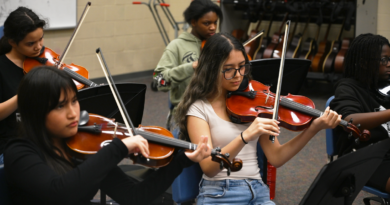 Preview: orchestra concert