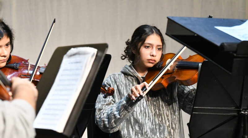Preview: winter orchestra concert