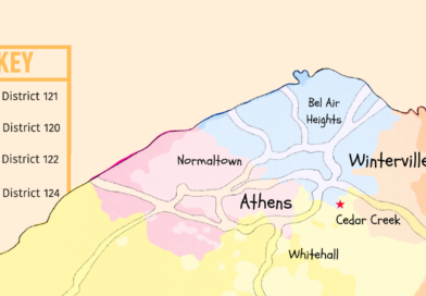 A seat at the table: gerrymandering affects your representation